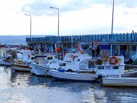 Kıyı balıkçılığı destek paraları hesaplara yatırıldı