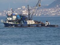 Karadeniz'de balık stokları azalıyor