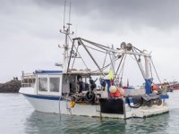 Fransa ile İngiltere arasındaki balıkçılık krizi büyüyor