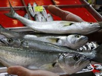 Balık çeşidi azaldı, fiyatlar tezgahlara yansıdı