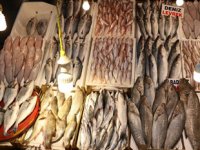Mersin’de havalar iyi gitti, balık fiyatları artmadı