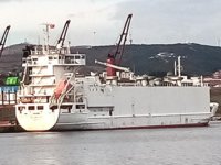 Hayvan yüklü 'Alondra' isimli gemi, Çelebi Bandırma Limanı’na yanaştı