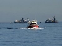 Türk balıkçılar, Gürcistan’da hamsi avlayacak