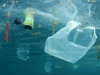 Akdeniz'de artan mikroplastikler deniz canlılarını tehdit ediyor