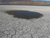 Van Gölü’nde yeni adacıklar oluştu