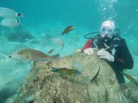 Kemer’in su altı güzellikleri Rusya’da tanıtılacak