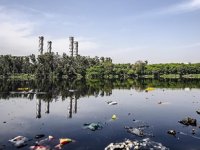 AB, çevreye karşı işlenen suçlara sert cezalar uygulayacak