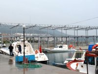 Dikili'deki 'Liman Revizyon Projesi'ne ‘Bakanlık’tan onay çıktı