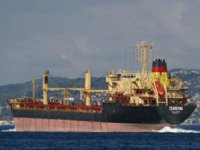 Tzarevna gemisinin mürettebatı korona virüse yakalandı