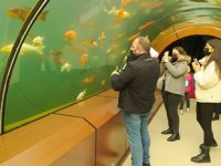 Bursalılar, tünel akvaryumda şehrin stresini atıyor