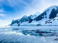 Bilim insanları, Antarktika'nın altında hayat buldu