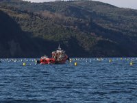 Marmara'da kurulan midye çiftlikleri hem suyu filtre edecek hem para kazandıracak