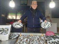 Giresun’da balıkçı tezgahları hamsisiz kaldı