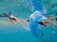 Her yıl 11 milyon plastik denizlere karışıyor