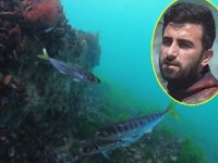 Dalgıç İsa Şahintürk, İstanbul’un hasta balıklarını görüntüledi