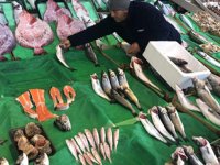 Olumsuz hava nedeniyle balık tezgahları boş kaldı