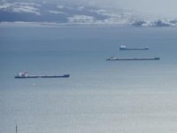 Karadeniz’deki fırtına nedeniyle gemiler, Sinop Limanı’na sığındı