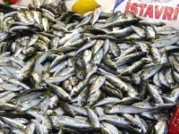 Tezgahlarda en ucuz balık istavrit oldu