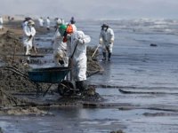 Peru'daki petrol sızıntısı, deniz canlılarını tehdit ediyor