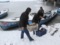 Beyşehir Gölü'nde balıkçıların zorlu mücadelesi sürüyor