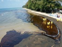 Tayland’da petrol sızıntısı nedeniyle Mae Ramhueng Plajı afet bölgesi ilan edildi
