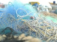 Samsung, balık ağlarından geri dönüşüm yapacak