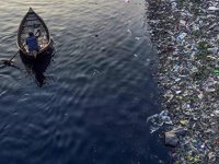 Denizdeki plastiği yutmayan kalmadı