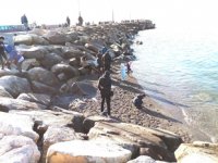 Marmara'da deniz suyu çekilmesi endişe yarattı