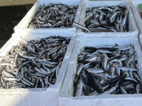 Balıkçı tezgâhlarda çeşit azaldı, fiyatlar fırladı