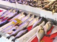 Tezgahlarda hamsinin yerini kültür balıkları almaya başladı
