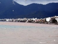 Marmaris'te yangınlar sonrası deniz tabanını balçık tabakası kaplıyor