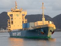 Japonya, kargo gemilerinin yarısını otonom hale getirecek