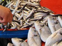 Marmara’da umduğunu bulamayan balıkçılar, rotayı Ege'ye çevirdi