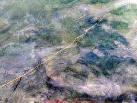 Datça'da denize sintine atığı boşaltan tekne sahibine ceza kesildi