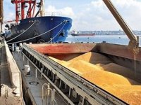 Ukrayna'dan tarım ürünleri ithalatında belge aranmayacak