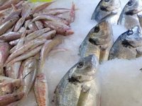 Sert hava koşulları balık fiyatlarını yükseltti