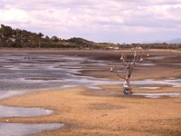 İzmir'de deniz suyu çekilmesi 50 metreyi buldu