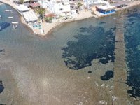 Bodrum'da deniz çekildi, surlar ortaya çıktı