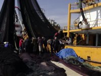 Karadenizli balıkçıların umudu yeni sezona kaldı