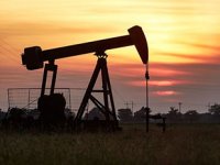 Küresel petrol üretimi, Şubat ayında arttı