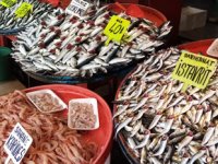 Balıkesir’de tezgahlarda balık bolluğu yaşanıyor