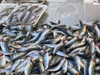 Karadenizli balıkçılar, sezondan umduğunu bulamadı