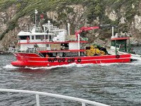 Çanakkaleli balıkçılar, sezonu erken kapattı