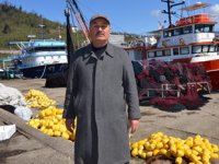 Ordulu balıkçılar, teknelerini limana çekti