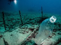 Plastik atıklar, denizlerde biyoçeşitliliği olumsuz etkiliyor