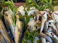 Karadeniz’deki serseri mayınlar, tezgahlara da yansıdı