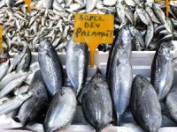 Tezgahlarda sezonun son balıkları alıcılarını bekliyor