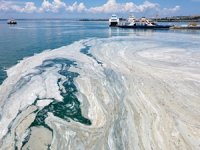 TBMM Araştırma Komisyonu, müsilaja karşı 157 çözüm önerisi sundu