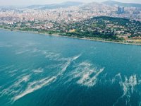 Müsilaj Bilim Kurulu, deniz salyası raporunu açıkladı