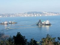 Prof. Dr. Msustafa Sarı: Boğazlar ve çevrelerinin bir bölümü balık avcılığına kapatılmalı